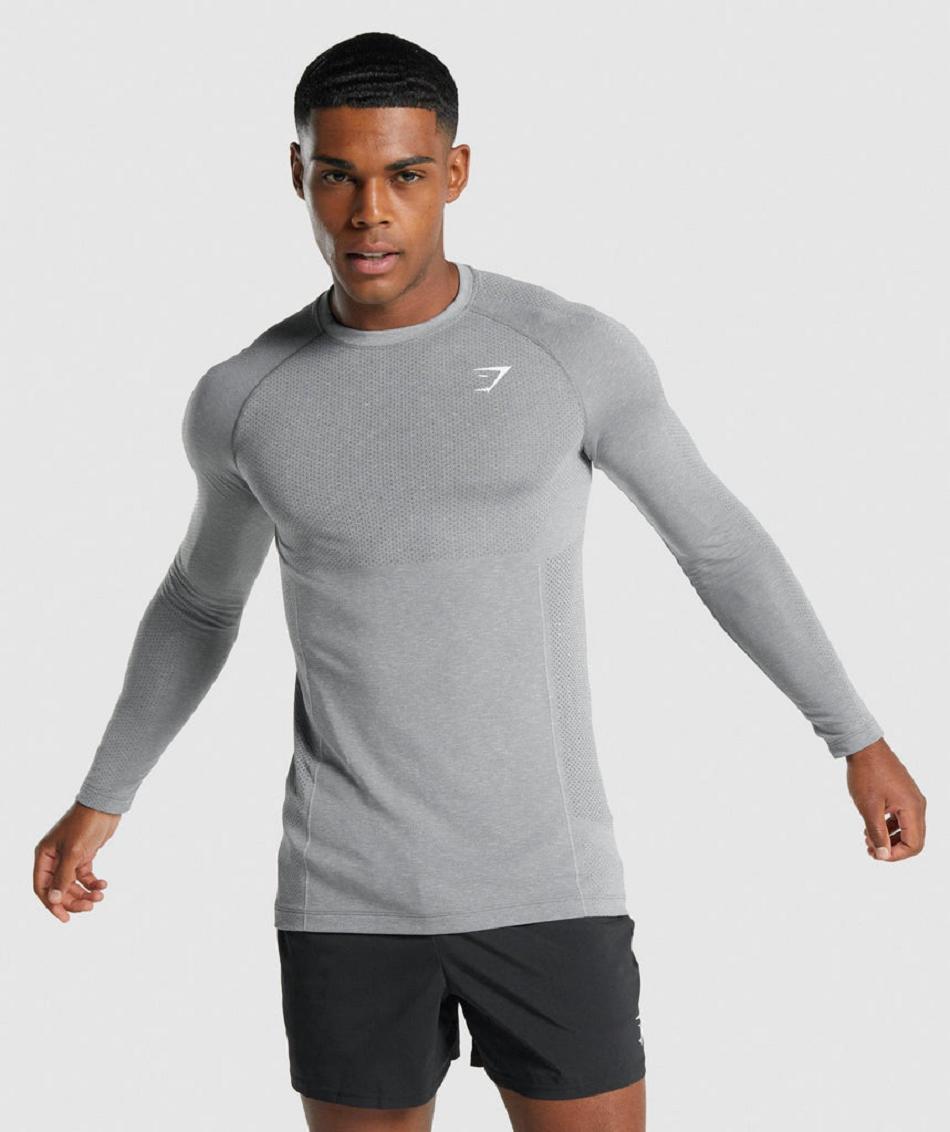 Gymshark Vital Light Seamless Muške Dugi Rukav Sive | HR 2626FDN